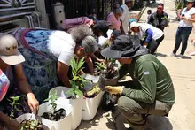 Con jardines polinizadores, la comunidad en Brisas de las Palmas busca mitigar los efectos del cambio climático