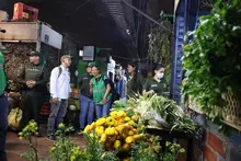 Tras operativos de control, autoridades reportan disminución en la comercialización de especies silvestres