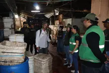 Tras operativos de control, autoridades reportan disminución en la comercialización de especies silvestres