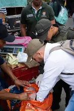 Tras operativos de control, autoridades reportan disminución en la comercialización de especies silvestres