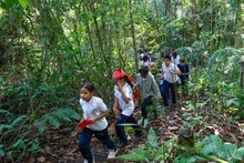 Niños y jóvenes siembran vida en los Farallones de Cali