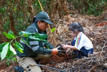 Niños y jóvenes siembran vida en los Farallones de Cali