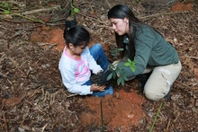 Niños y jóvenes siembran vida en los Farallones de Cali