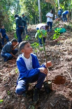 Niños y jóvenes siembran vida en los Farallones de Cali