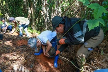 Niños y jóvenes siembran vida en los Farallones de Cali