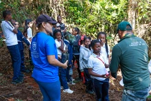 Niños y jóvenes siembran vida en los Farallones de Cali