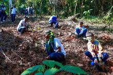 Niños y jóvenes siembran vida en los Farallones de Cali