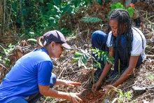 Niños y jóvenes siembran vida en los Farallones de Cali