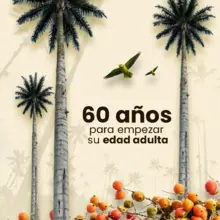 El Domingo de Ramos se entregarán 2000 plantas vivas para frenar el tráfico de palma de cera