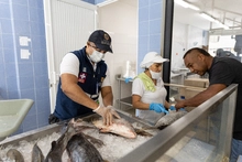 Iniciaron operativos de control en expendios de alimentos en Cali, con motivo de Semana Santa