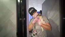 Multa de más de 60 millones de pesos por maltrato de ocho caninos y una minipig en Cali: el caso se remitirá a la Fiscalía