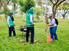 Cali se puso ‘titina’: culmina embellecimiento en los principales accesos de la ciudad