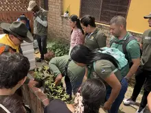 DAGMA entrega más de 2.500 plantas en parroquias de Cali para desincentivar el uso de palma de cera en Semana Santa