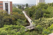 Entre aves, senderos y vegetación: el plan perfecto en Cali para desconectarse durante la Semana Santa