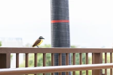 Entre aves, senderos y vegetación: el plan perfecto en Cali para desconectarse durante la Semana Santa
