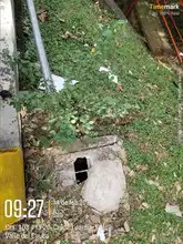 Anuncian recompensas para frenar la vandalización de semáforos