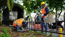 Con nuevas rejas ornamentales se recuperan los separadores viales de Cali