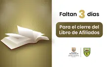 Diseño_Instancia