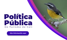 banner politica publica-01