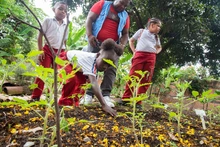 Niñas y niños son protagonistas de la paz en Cali