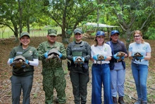 Más de 150 animales de fauna silvestre fueron liberados en zonas de reserva en Cartagena