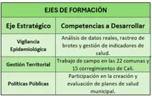 Ejes de formación.png