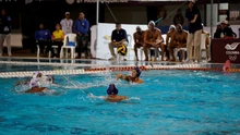 Con oro y bronce, Colombia se despidió del ‘Clasificatorio de Polo Acuático’ en Cali