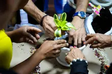 Resultados y nuevas apuestas impulsan el sector cultural desde la Secretaría de Cultura de Cali