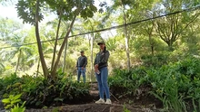 Cali es ratificada nuevamente como ‘Ciudad Árbol del Mundo’ al certificar la gestión de su arbolado urbano