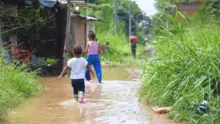 Alcaldía de Cali ha cumplido y no hay negligencia ni dolo de sus funcionarios en la consulta previa con Playa Renaciente