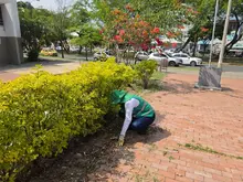 Servicios Públicos apadrina dos puntos clave en la ‘Maratón de Cali 2026’: cultura ciudadana y activaciones para los corredores