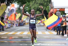 El etíope Gossa Challa y la keniana Stacey Ndiwa, campeones de la élite en la Maratón de Cali 2026