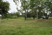 El parque de Fátima se alista para recibir al ‘Festival de la Familia’: la cita es el domingo 17 de mayo
