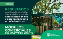 Resultados proceso seleccion bulevar