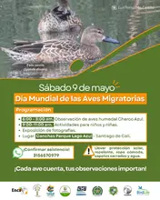 Cali se alista para el ‘Global Big Day 2026’ y reafirma su compromiso como ‘Ciudad de las Aves’