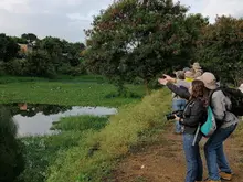 Cali se alista para el ‘Global Big Day 2026’ y reafirma su compromiso como ‘Ciudad de las Aves’