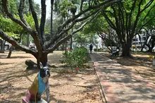 Inició la transformación integral del Parque del Perro