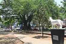 Inició la transformación integral del Parque del Perro