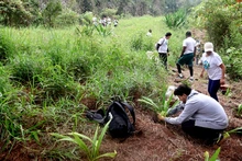 Estudiantes universitarios sembraron plantas para fortalecer una barrera de protección contra incendios forestales