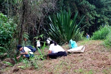 Estudiantes universitarios sembraron plantas para fortalecer una barrera de protección contra incendios forestales