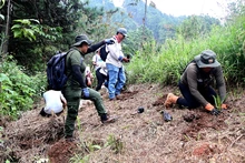 Estudiantes universitarios sembraron plantas para fortalecer una barrera de protección contra incendios forestales
