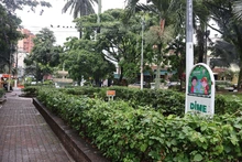 Hacer de Cali una ciudad más segura y bonita: el compromiso adquirido por 28 nuevas empresas del programa ‘Adopción de Zonas Verdes’