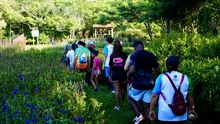 Entre senderos y naturaleza, Cali caminó y se conectó con la biodiversidad en Pance