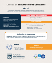 INFOGRAFÍA_EXHUMACIÓNDECADAVERES.jpg