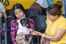 No más al abandono de animales domésticos en Cali: un llamado enfático desde el Centro de Bienestar Animal 