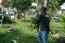 Jóvenes al frente: Cali se suma al Fondo de Acción Climática