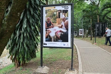 Inauguran la exposición fotográfica ‘Cali se Vive’: homenaje visual a la identidad de la ciudad