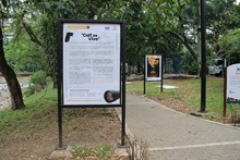 Inauguran la exposición fotográfica ‘Cali se Vive’: homenaje visual a la identidad de la ciudad