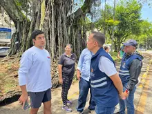 Secretaría de Salud realizó acciones de inspección, vigilancia y control a roedores en separador de la calle 9ª