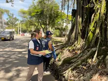 Secretaría de Salud realizó acciones de inspección, vigilancia y control a roedores en separador de la calle 9ª